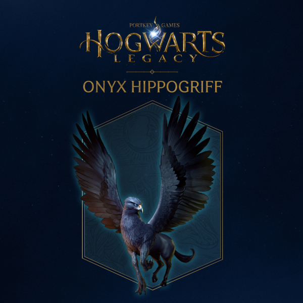 Hogwarts Legacy PS4